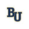 Bethel Seminary logo Bethel Seminary logo